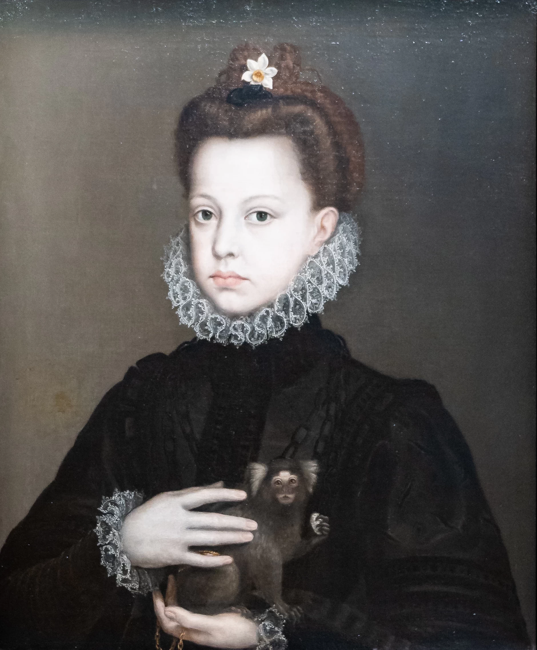 Ritratto dell'Infanta Catharina Micaela con un marmoset - Rijksmuseum Twenthe, Enschede